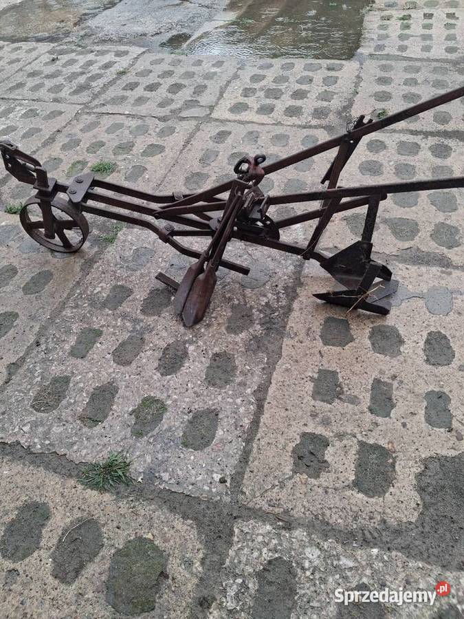 Opielacz konny Lublin