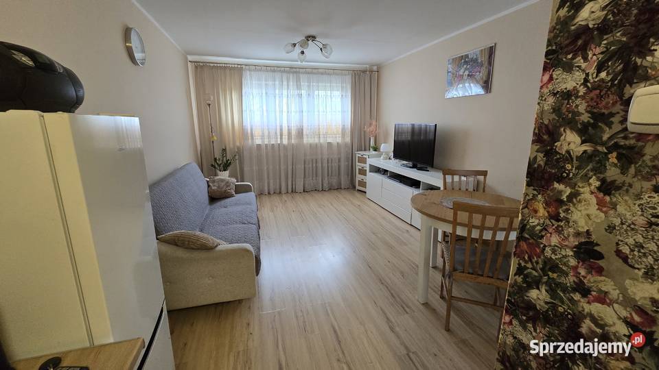 Mieszkanie 245m Bielany piwnica