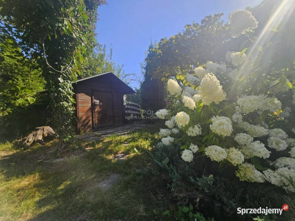 Działka ROD w Świdniku na sprzedaż