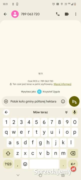 Przewracają do siana pasowa na 3 rzędy zebow lubelskie Wolica Pierwsza