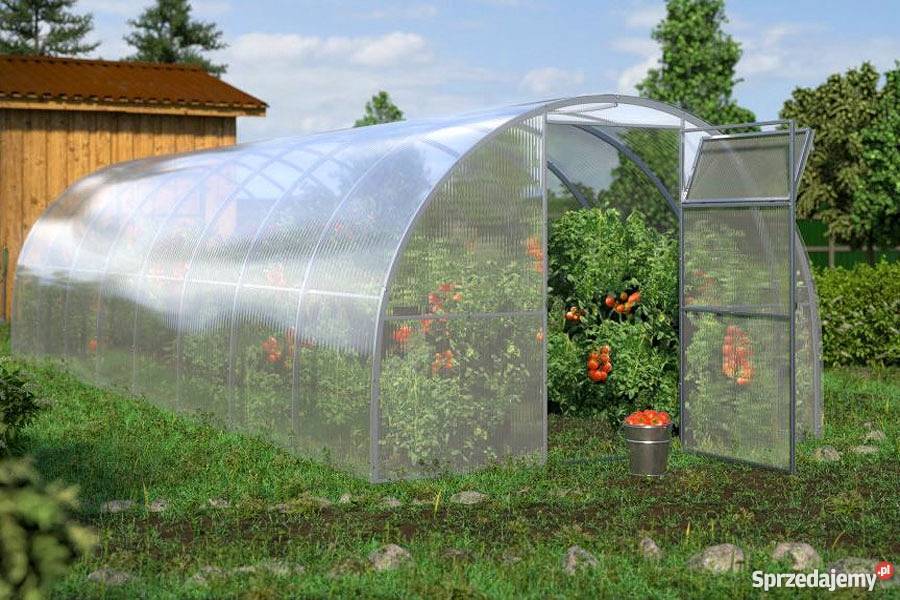 Szklarnia Elegant 3x8m 24m2 H210 poliwęglan 4mm Warszawa