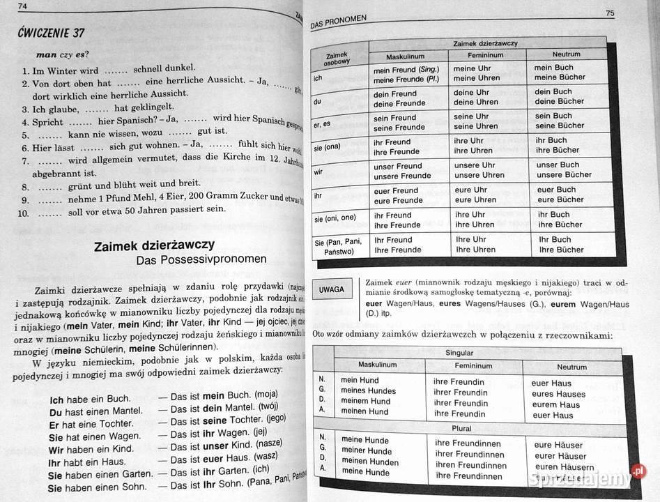 Nowe repetytorium z gramatyki języka Chełm