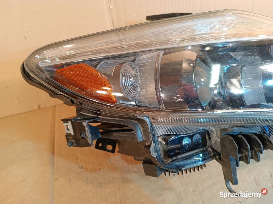 NISSAN MURANO Z51 II LAMPA PRAWY PRZÓD EUROPA Nowy Tomyśl