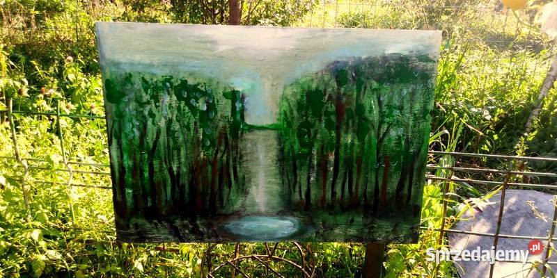 cichy las z jesiorkiem duży obraz