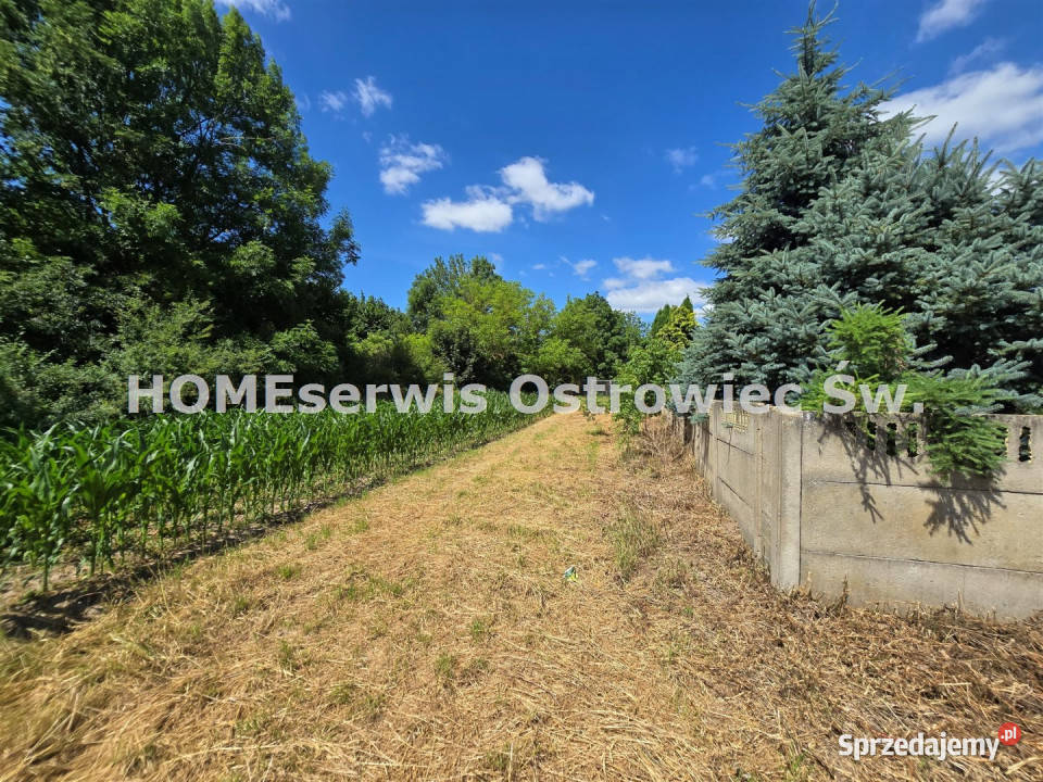 Grunt sprzedam 3500m2 Ćmielów świętokrzyskie