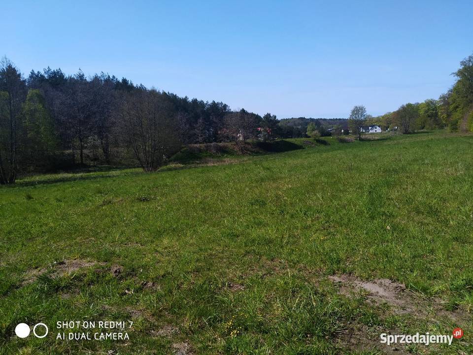Działka Tadzino gmina Gniewino 56zł/m2