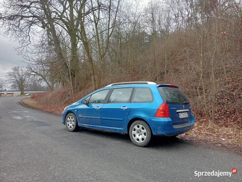 Peugeot 307 16 Benzyna 110 16V Kombi 2007r Kraków