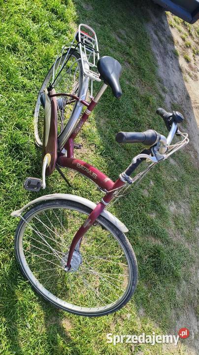 Batavus Gazelle Domasławice sprzedam