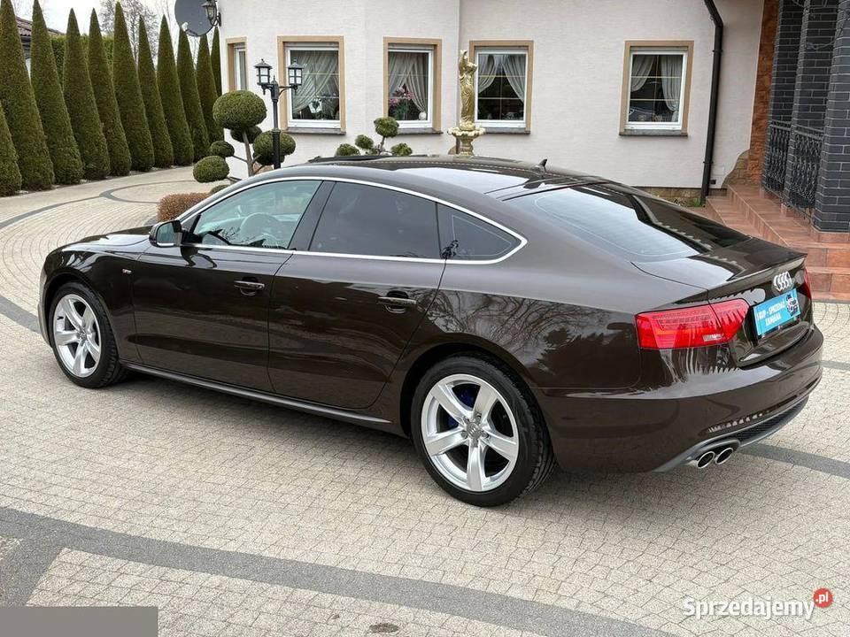 Audi A5 Sportback 20 TDI DPF 136 2013r Stan