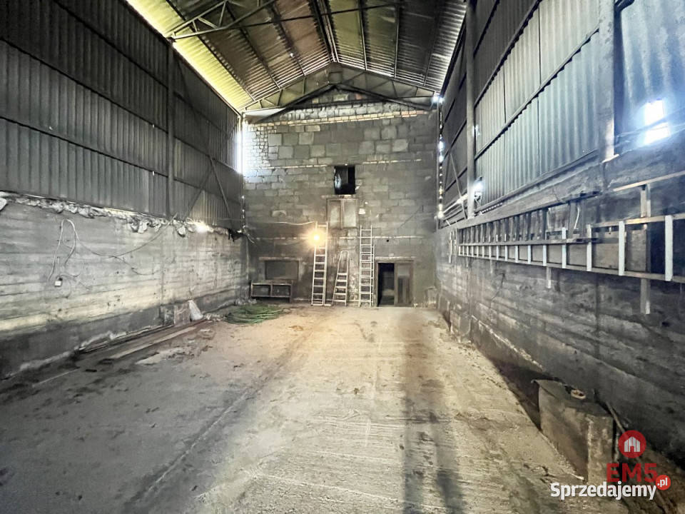 Do wynajęcia lokal Białystok 500m2 podlaskie