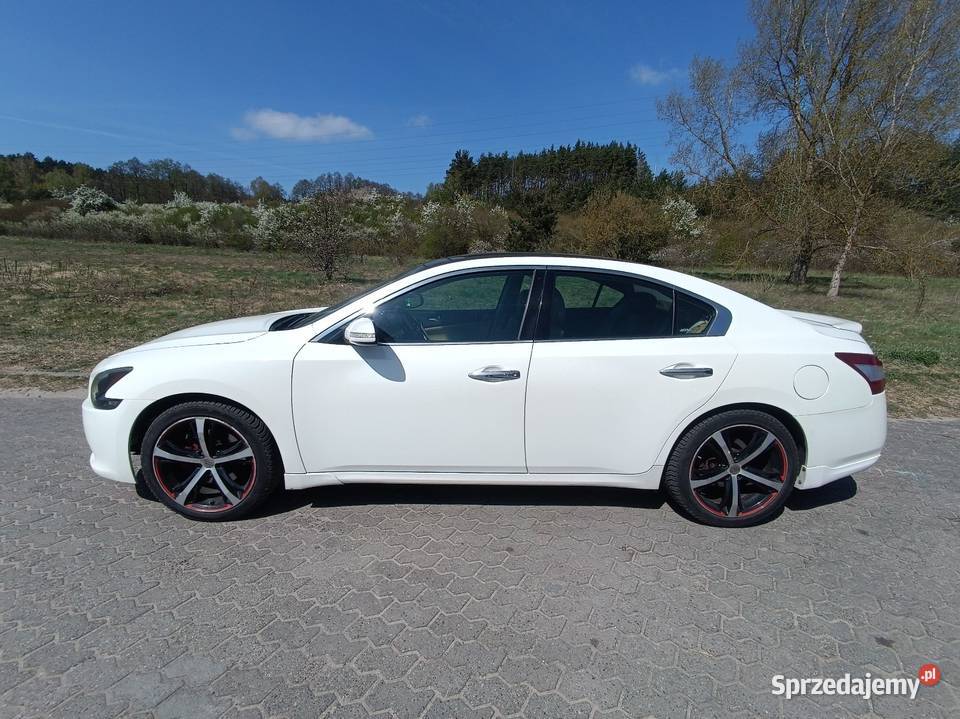 Nissan Maxima A35 wygodna limuzyna biała Bydgoszcz
