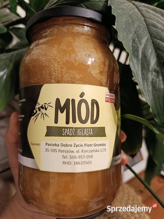 Miód spadziowy jodłowy z Podkarpacia 65 1