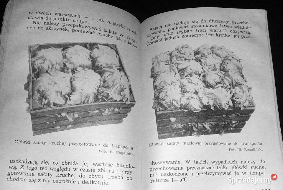 Kontraktujemy warzywa mało znane Roch