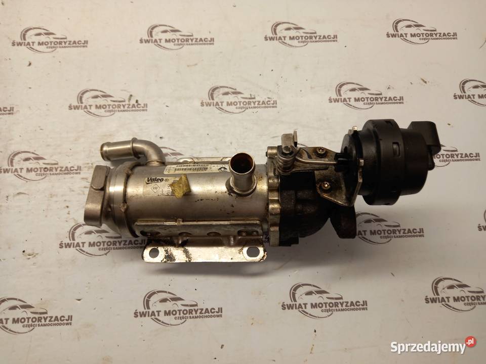 PRIMASTAR TRAFIC 20 DCI M9R780 115 chłodniczka Kielce sprzedam