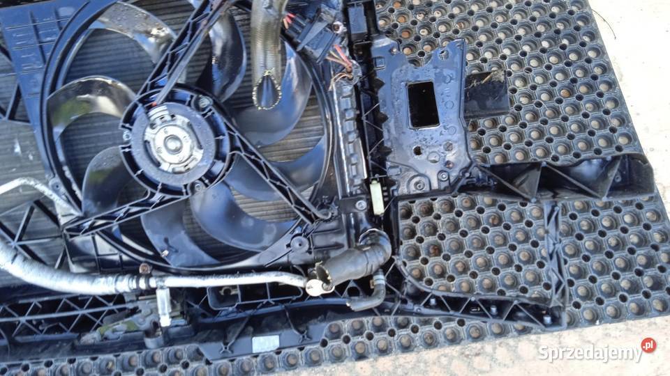 SEAT IBIZA 6L FL PAS PRZEDNI KOMPLET 14 BENZ Pasy przednie i tylne Zbierkowo