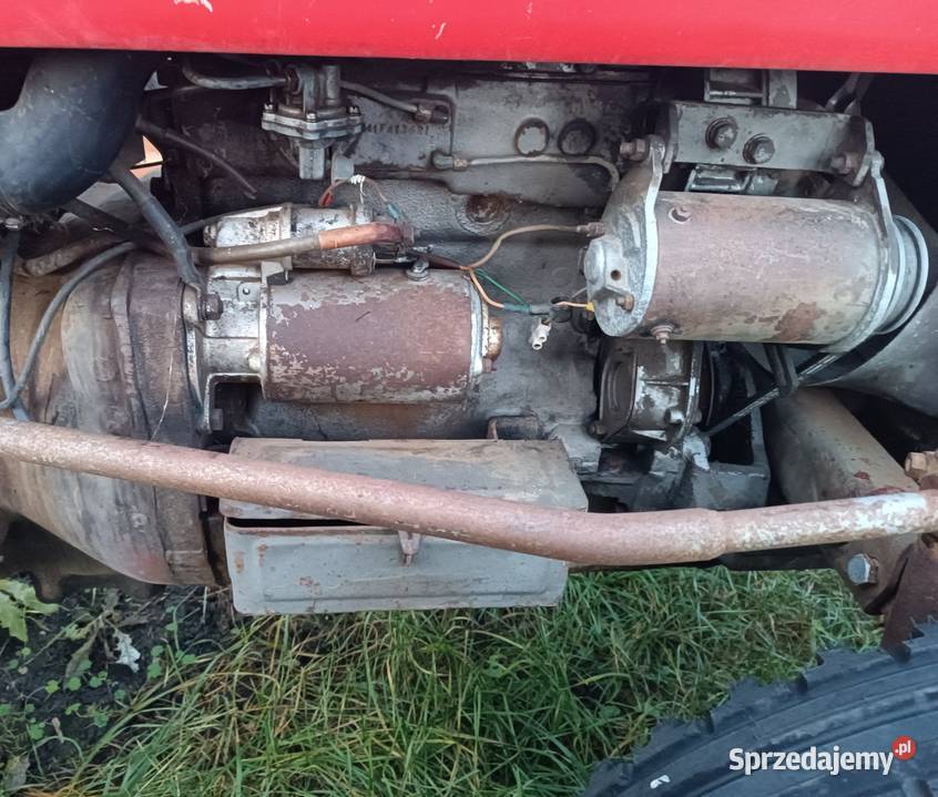 Massey Ferguson 135V sadownik świętokrzyskie Busko-Zdrój