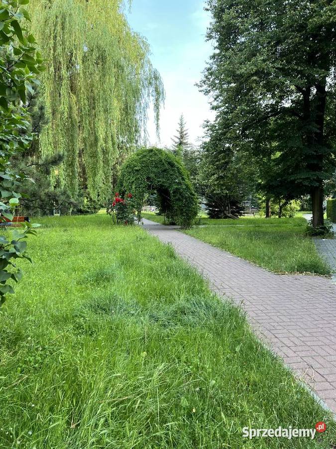 Bezpośredniosłoneczne 2pokojowe mieszkanie 41m2