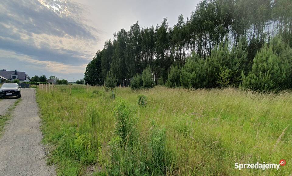 Działka lesie 695m2 Sprzedaż Siedlec