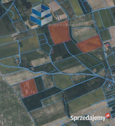 sprzedaży ziemi Pietrzwałd 154000m2