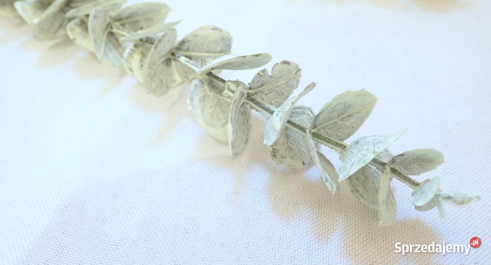 Dekoracja gałązka eukaliptusa ozdobna zielona 44 śląskie Siewierz sprzedam