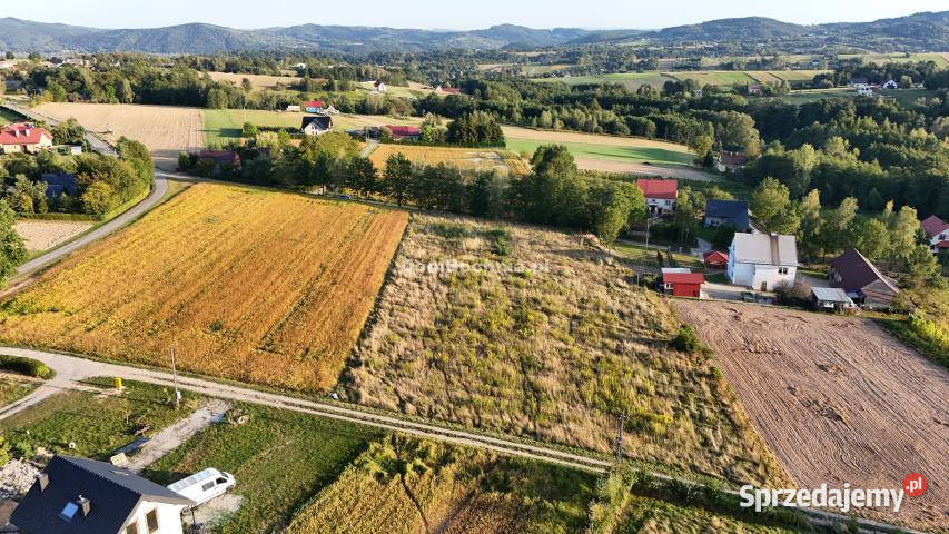 Ogłoszenie działka 1401m2 Tworkowa