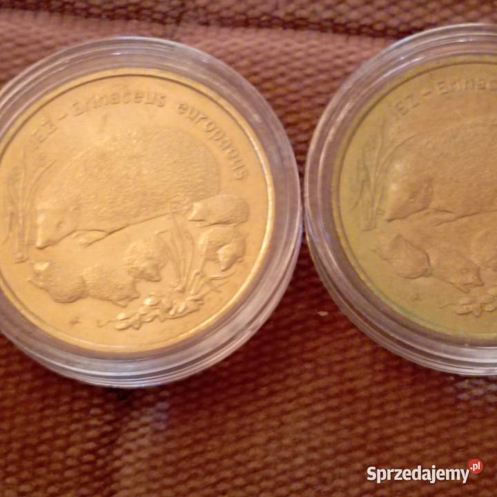 Monety okolicznościowe 2 Numizmatyka dolnośląskie Wrocław