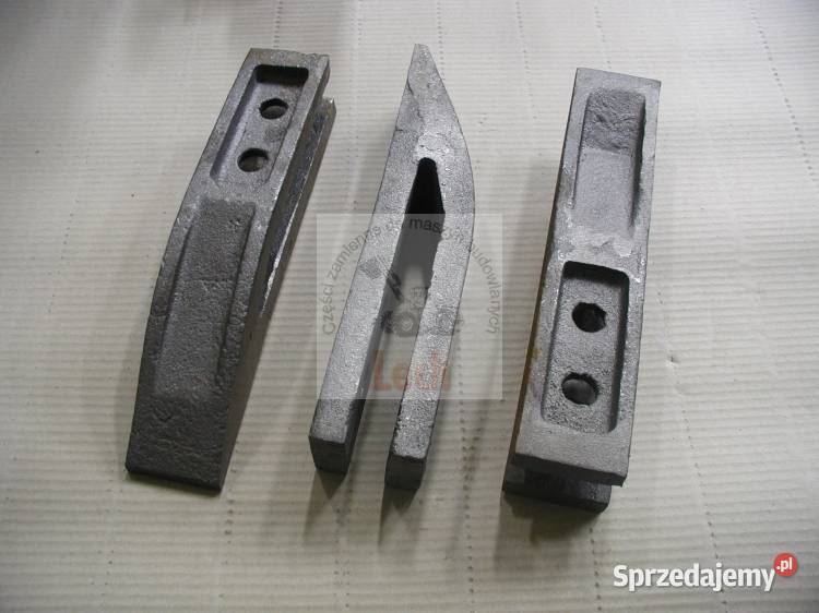 Ząb łyżki Ostrówek Fadroma podkarpackie Stalowa Wola