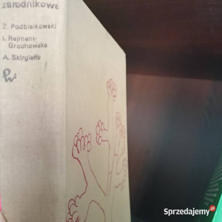 Rośliny zarodnikowe Sopot wysyłka Trójmiasto Gdańsk