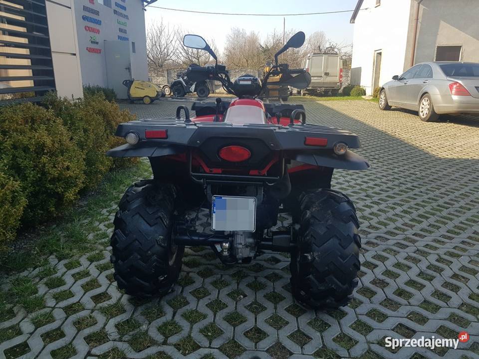 LINHAI MUDDY 300 Dostawa Serwis Kutno