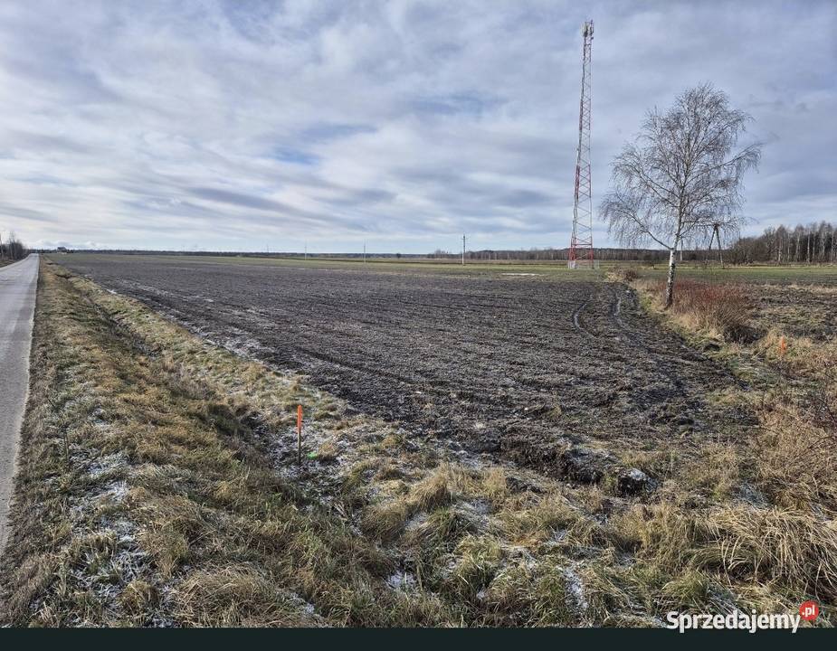Działka budowlana 20m Brzezinki sprzedam