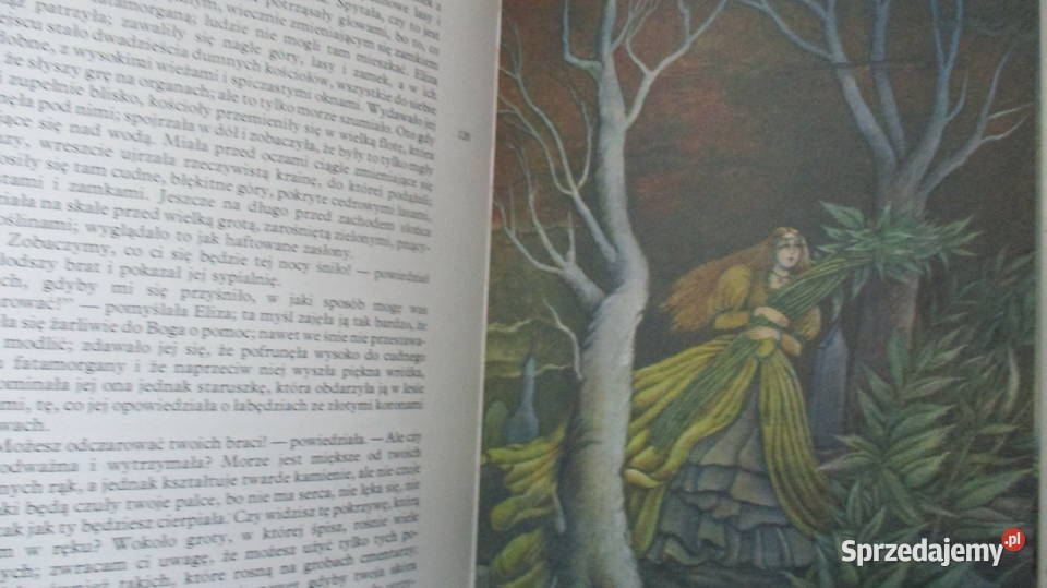 Baśnie HChAndersen Calineczka Łódź