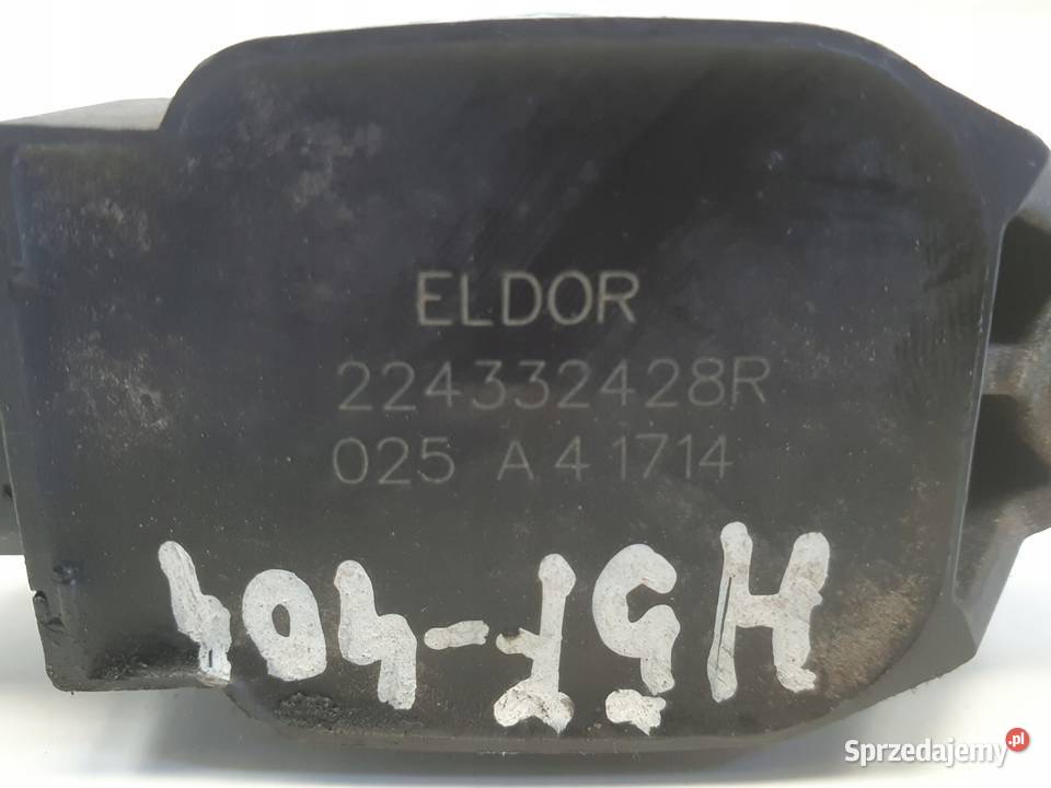 CEWKA ZAPŁONOWA Dacia Lodgy 12 TCe 224332428R Rudka