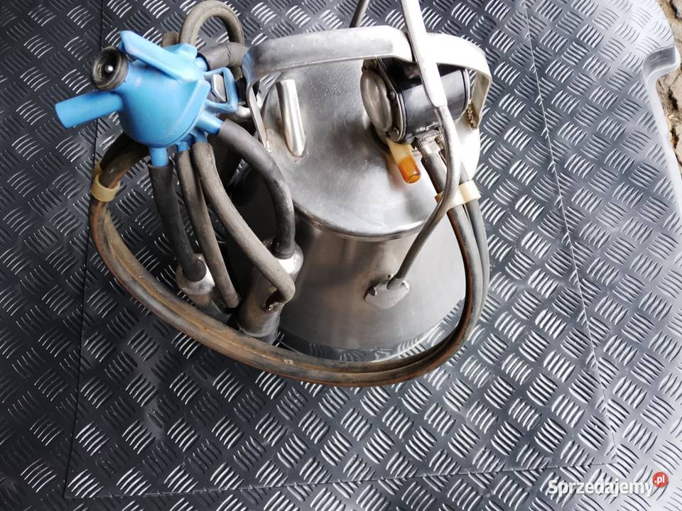 Dojarka Konwia Bańka udojowa kpl alfa laval Namysłów