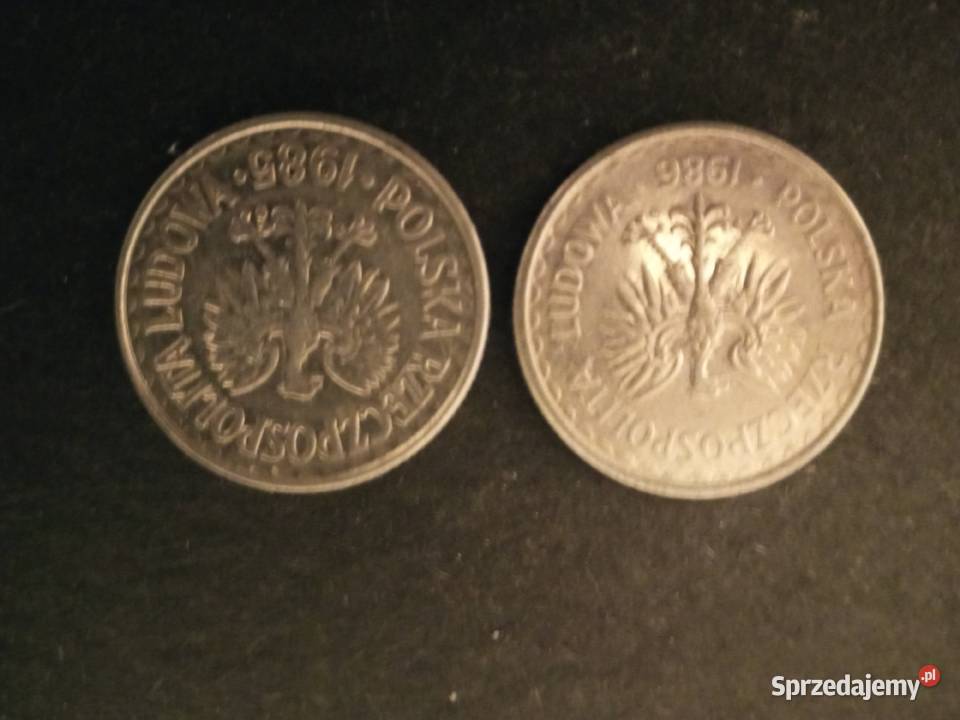 1 z roku 1985 1986 Szczecinek