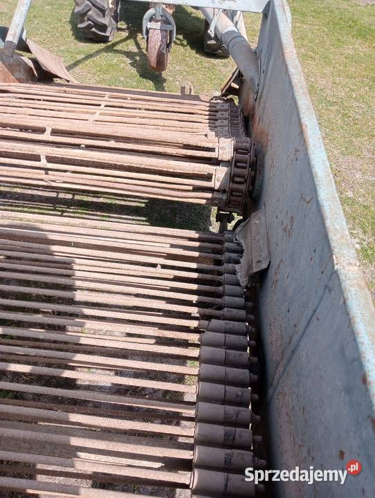 Kopaczka Elewatorowe do ziemniaków Czyżew