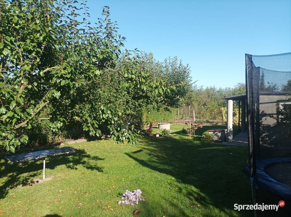 Działka rekreacyjna 1go Maja w Gliwicach Sprzedaż Knurów