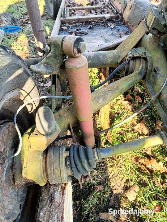 Baggy garbus Wrocław