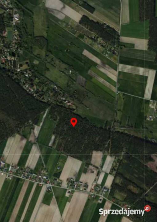Dwie działki leśne Mianów gmina Lutomiersk Grunty i działki
