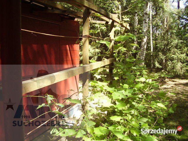 domek letniskowy w Mierzwicach Bugiem Mierzwice-Kolonia