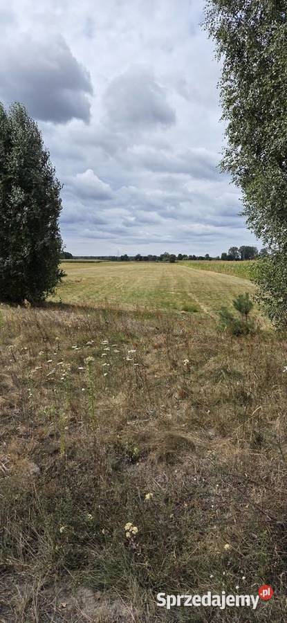 Działka siedliskowa RZ 87 arów Pożarów sprzedam