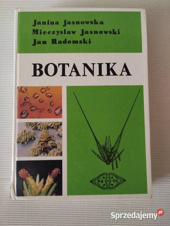 Botanika twarda Olkusz sprzedam