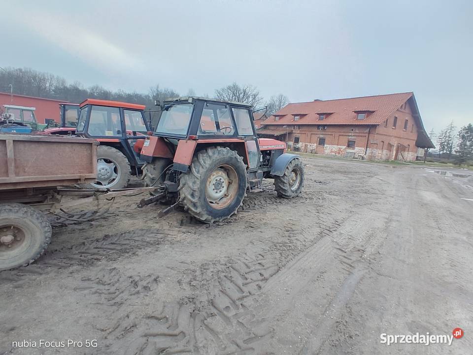 Ciągnik URSUS 1614 Ciągniki Sępopol