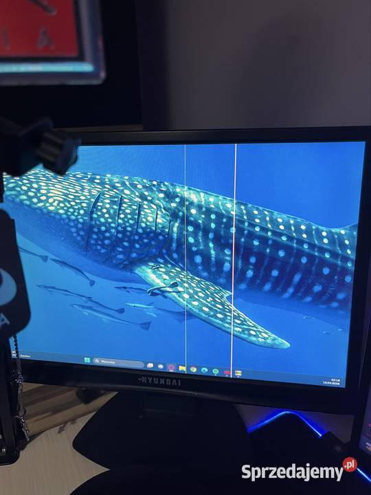 Zestaw gamingowy tanio Pamięć RAM 16 Gągławki