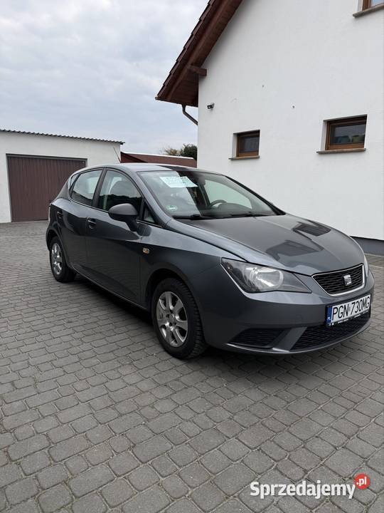Seat Ibiza wielkopolskie Witkowo