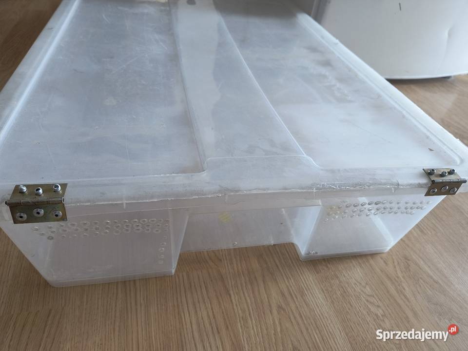 Pudełko box hodowlany terrarium Bielsko-Biała