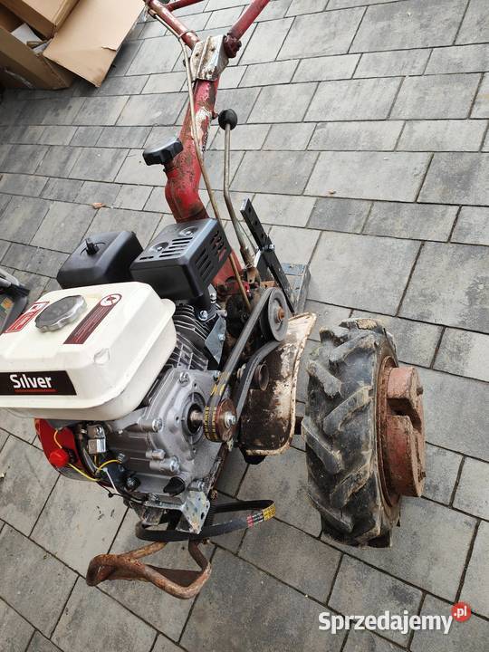 Glebogryzarka małopolskie Skała