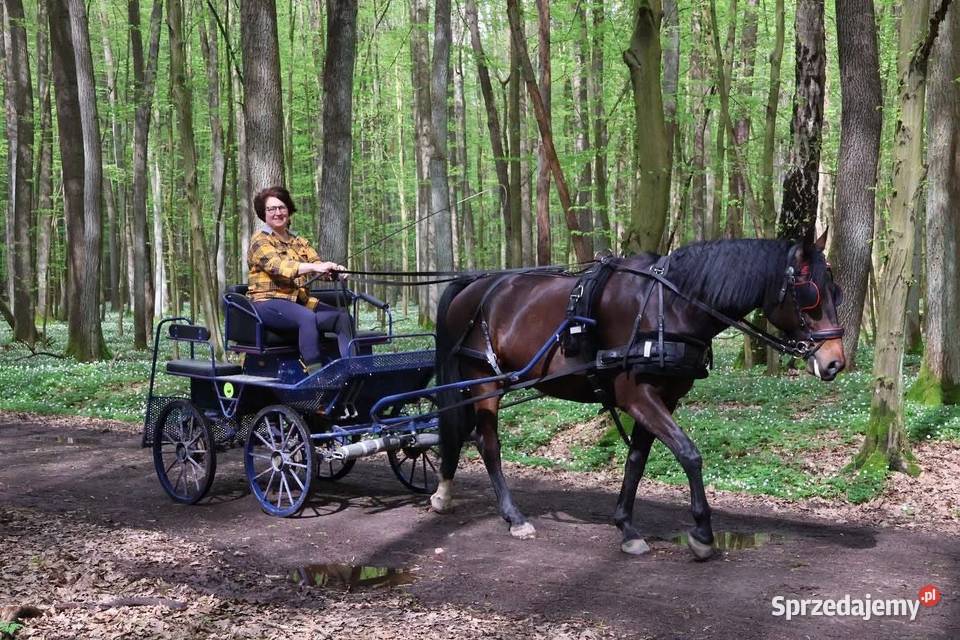 Walach do małego sportu mazowieckie Pruszków