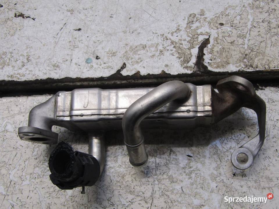 CHŁODNICZKA CHŁODNICA SPALIN EGR 13 IVTEC HONDA osobowe sprzedam