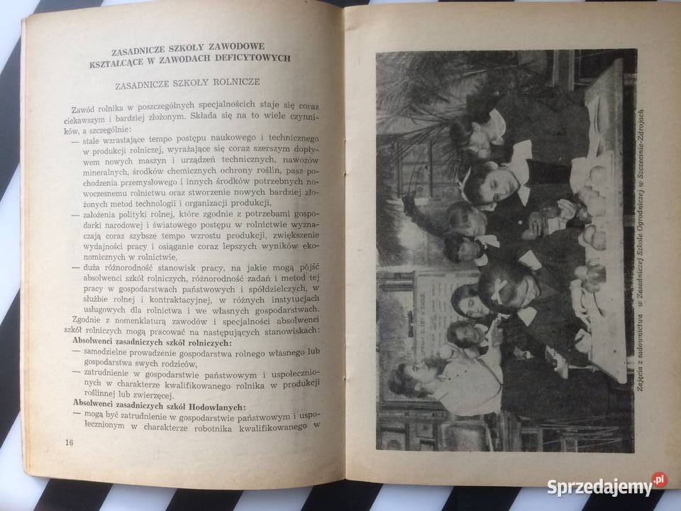 3673 Informator O Szkolnictwie Zawodowym Szczecin