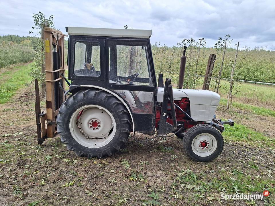 David Brown 885 sadowniczy Wólka Kolczyńska